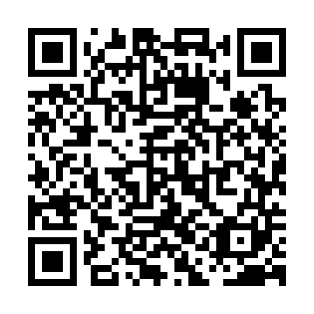 QR code for PAM 341