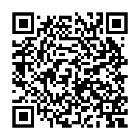 QR code for plate PAM 251