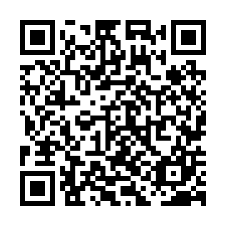 QR code for plate PAN 207