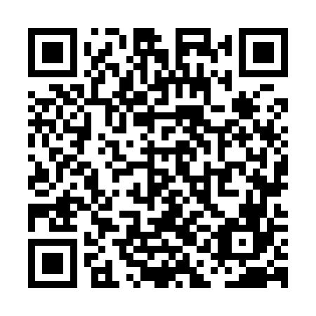 QR code for plate PAN 966