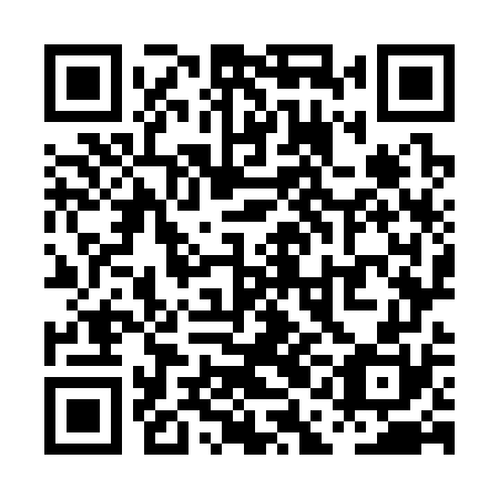 QR code for PAO 370