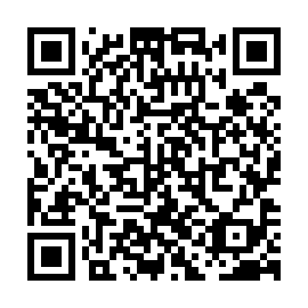 QR code for PAO 599