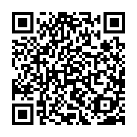 QR code for plate PAP 309