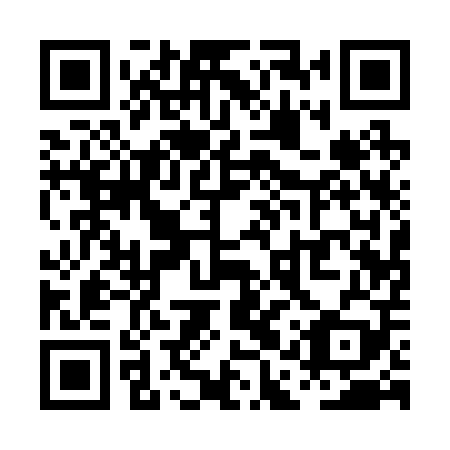 QR code for plate PAQ 209