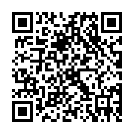 QR code for plate PAU 594