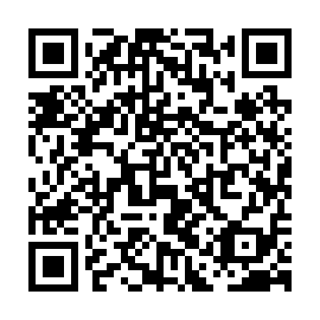 QR code for plate PAY 219