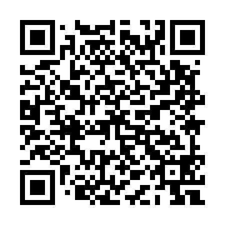 QR code for plate PAY 598