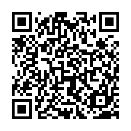 QR code for plate PAY 917
