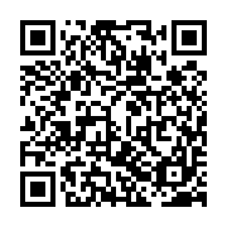 QR code for plate PBE 597