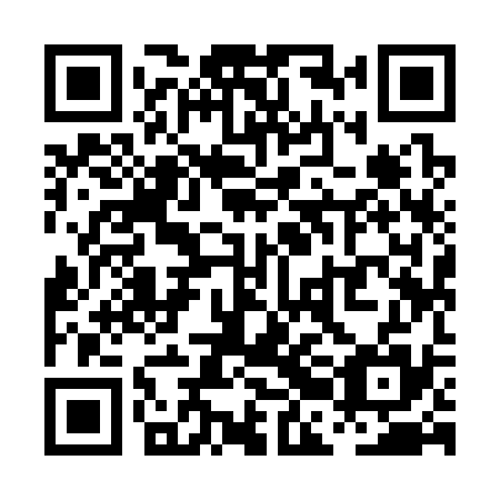 QR code for PBI 335