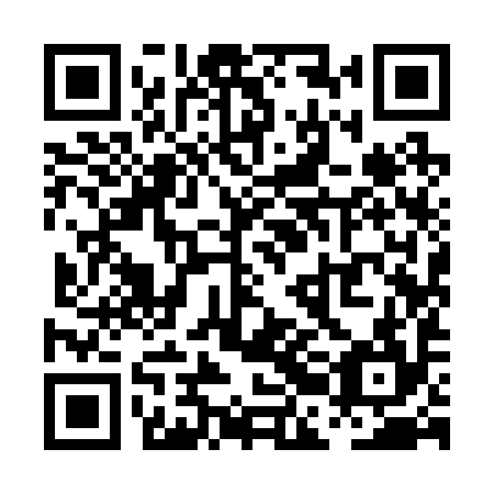 QR code for PBI294