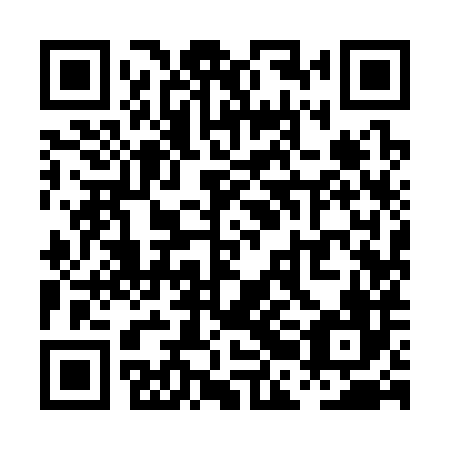 QR code for PBI386