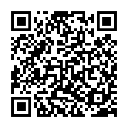 QR code for plate PBI 491