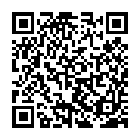 QR code for plate PBY 493