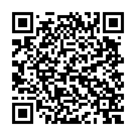 QR code for plate PCG 463