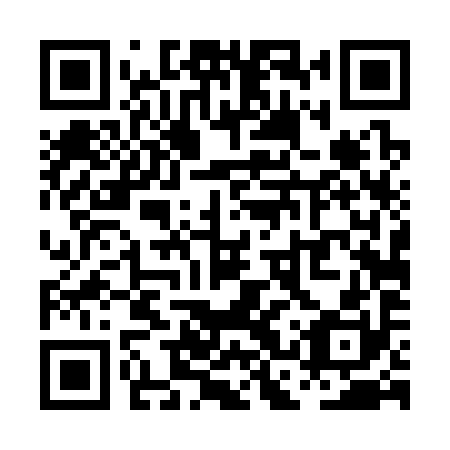 QR code for PCT390