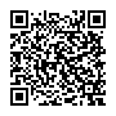 QR code for PDA 594