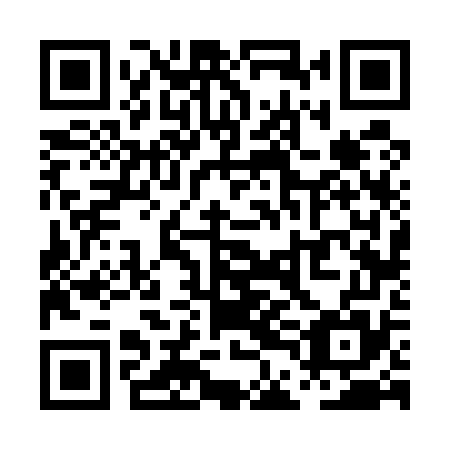 QR code for PDF 575