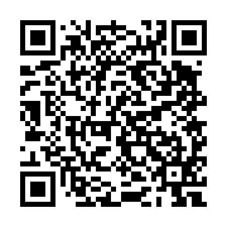 QR code for PDG 495