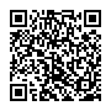 QR code for PDG 593