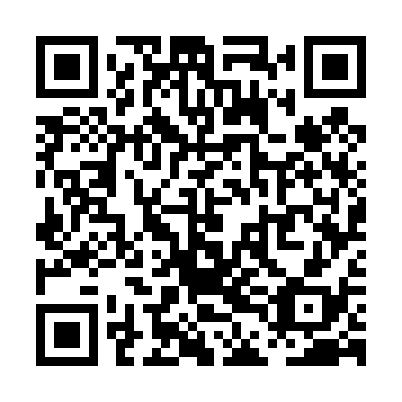 QR code for plate PDG 438