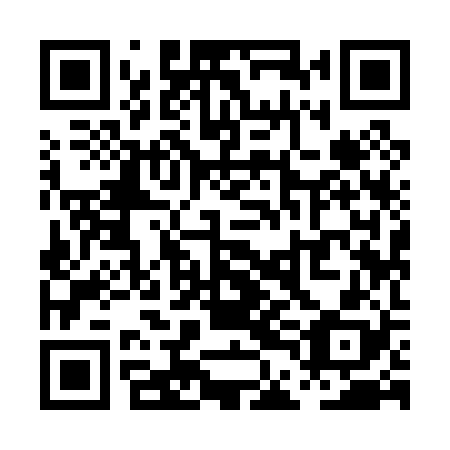 QR code for PDI 028
