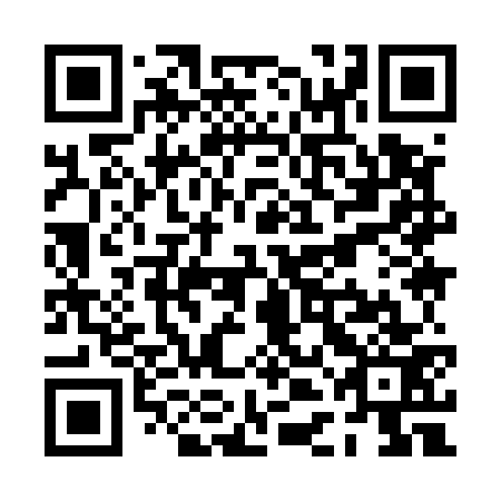 QR code for PDI 573