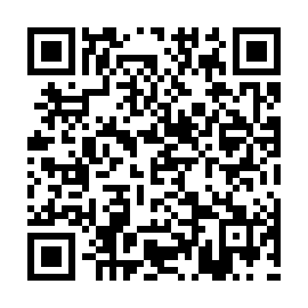 QR code for PDL 381