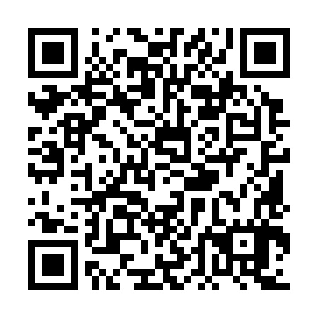 QR code for PDM 387