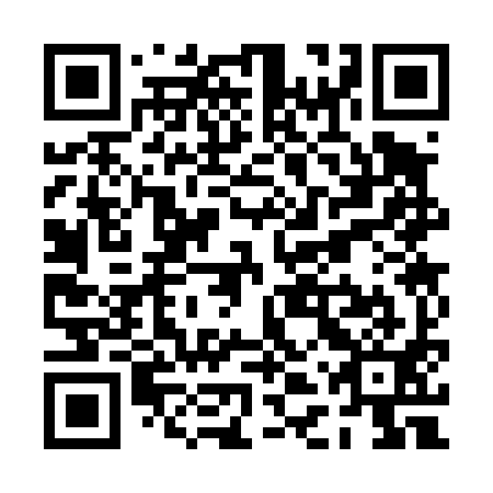 QR code for PDS 491
