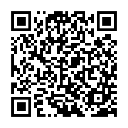 QR code for plate PEM 543