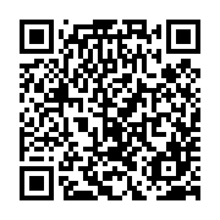 QR code for PES 486