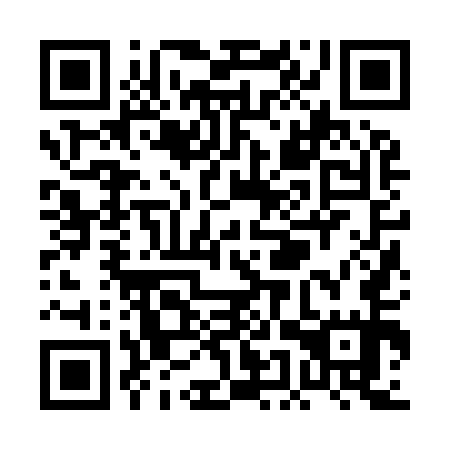 QR code for PEZ 955