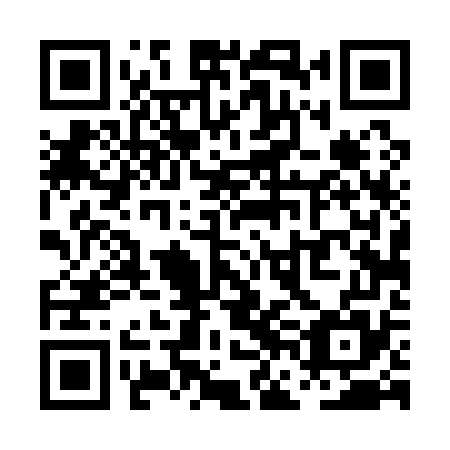QR code for PFD 175