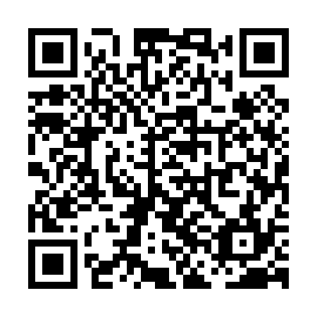 QR code for plate PFE 034