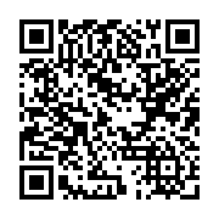 QR code for plate PFH 335