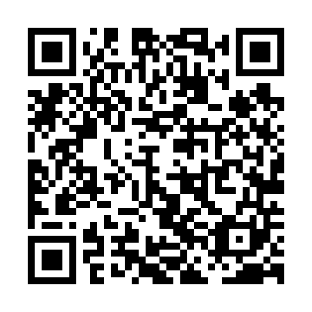 QR code for plate PFL 641