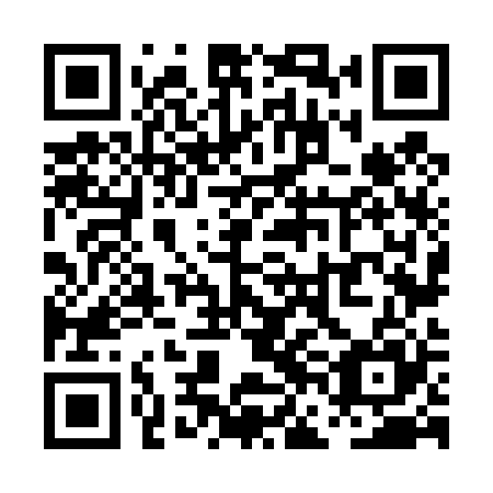 QR code for plate PFN 425