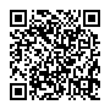 QR code for PFS377