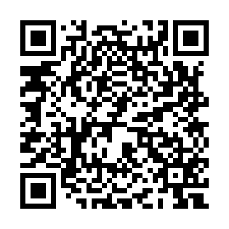QR code for PFS955