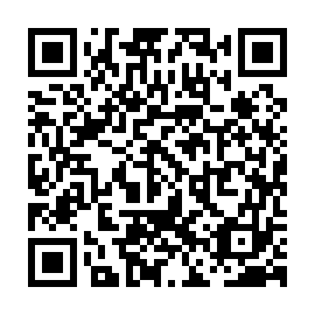QR code for plate PFY 173