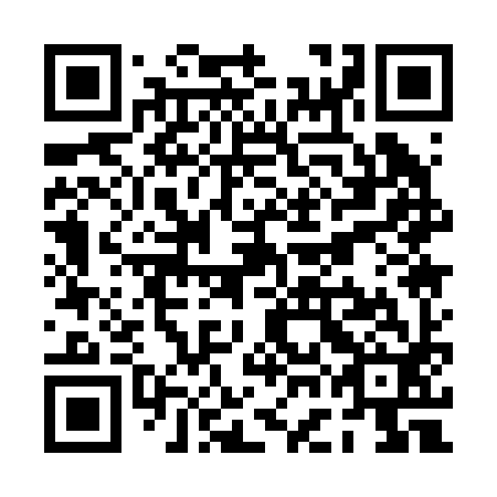 QR code for PGA 292