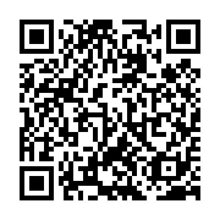 QR code for PGC 411