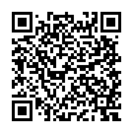 QR code for plate PGG 581