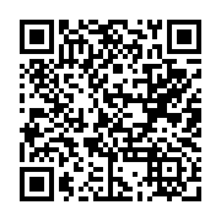 QR code for PGI493