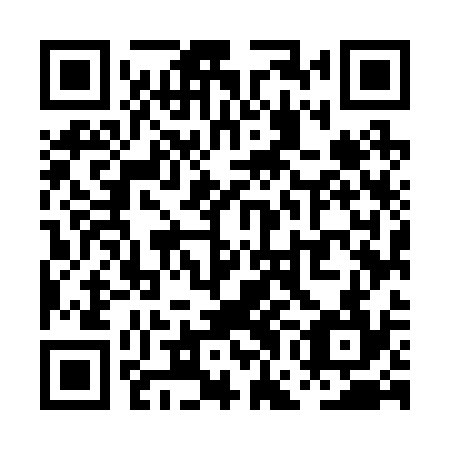 QR code for PGM 234