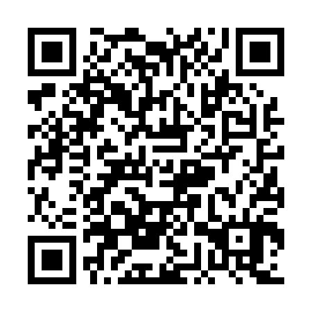 QR code for plate PGV 004