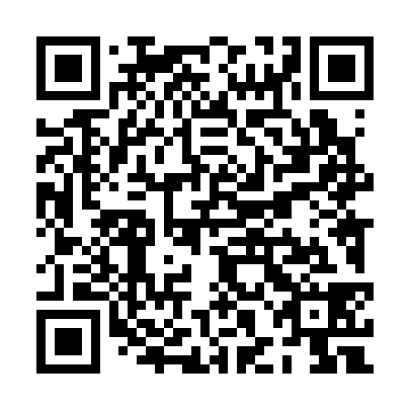 QR code for PHL338