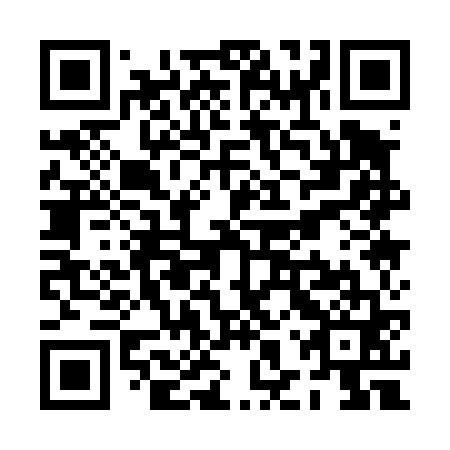 QR code for PHQ 461