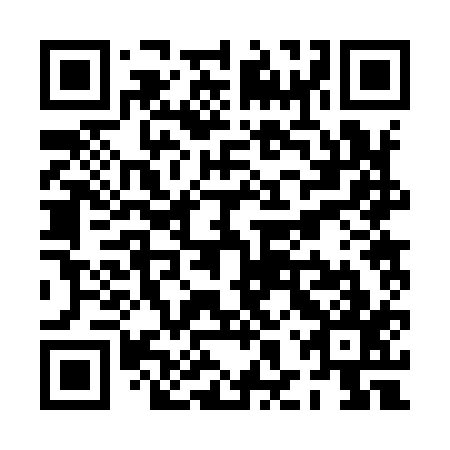 QR code for PHR 917